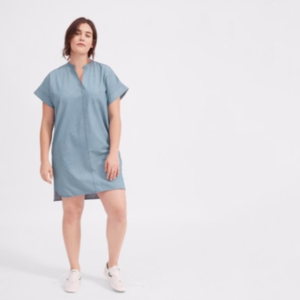 Everlane Splitneck Denim Dress